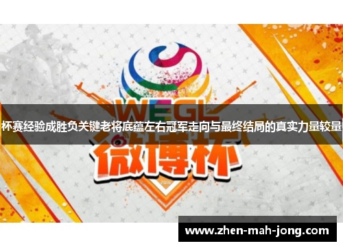 杯赛经验成胜负关键老将底蕴左右冠军走向与最终结局的真实力量较量