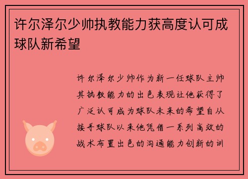 许尔泽尔少帅执教能力获高度认可成球队新希望