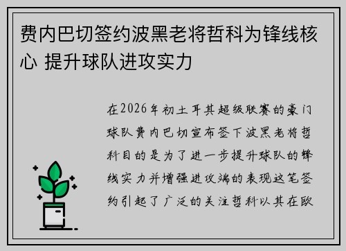 费内巴切签约波黑老将哲科为锋线核心 提升球队进攻实力 费内巴切签约波黑老将哲科为锋线核心 提升球队进攻实力